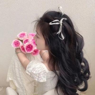 在主的年份 海报
